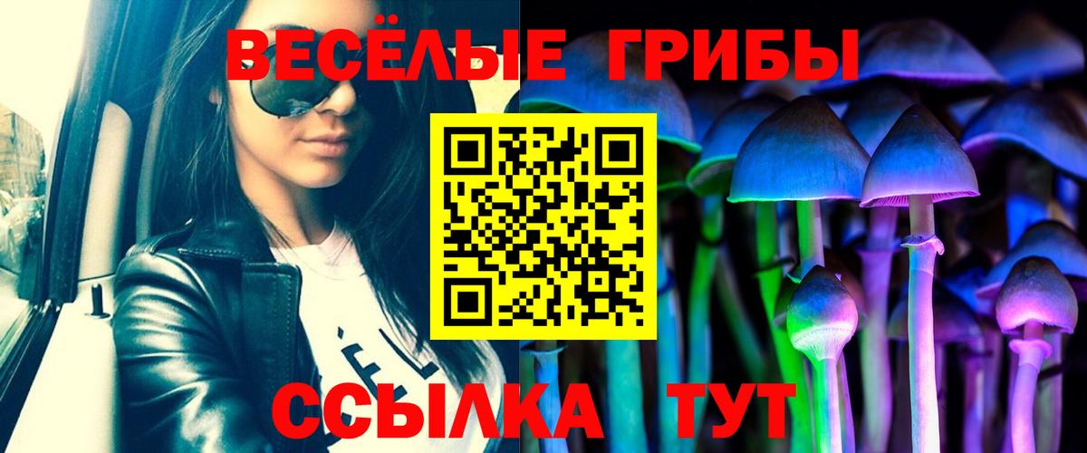 Ачхой-Мартан  Галлюциногенные грибы прущие грибы  Псилоцибиновые грибы GOLDEN TEACHER  Вход с VPN 